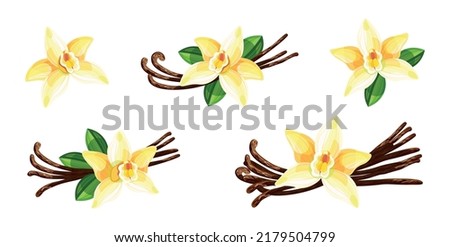Set of beautiful yellow vanilla in cartoon style. Vector illustration of spring and summer flowers large and small sizes with big leaves and twigs on white background. Royalty-Free Stock Photo #2179504799