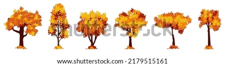 Set of cartoon autumn tree isolated on a white background. Vector element for fall landscape, autumn cards, kids books.