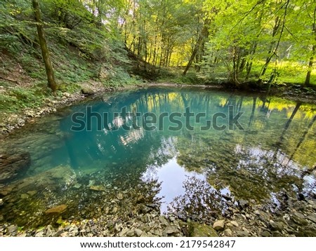 The source of the river Kupica or the spring of Kupica, Donje Tihovo - Gorski Kotar County, Croatia (Izvor rijeke Kupice ili vrelo Kupice, Mala Lešnica - Gorski kotar, Hrvatska)