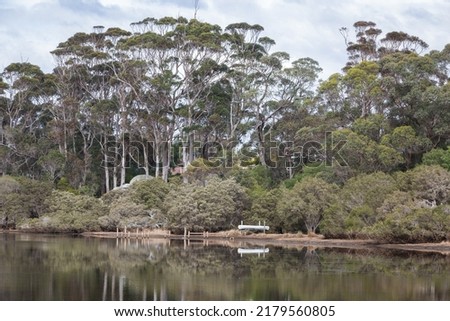 Still morning reflections, tall gum trees and upturned canoe.  Rickets Reserve Denmark, Western Australia