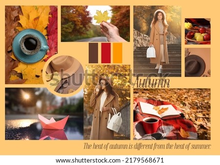 Inspiring mood board. Collage with beautiful and aesthetic photos