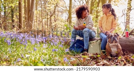 Two Children Walking Pet Dog Through Bluebell Woods In Springtime Taking A Break Sitting On Log Royalty-Free Stock Photo #2179590903