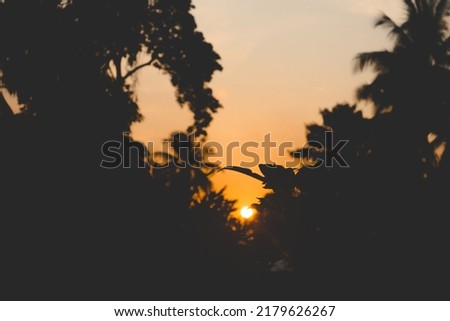 pictures of beautiful scenery at sunset and a little blurry