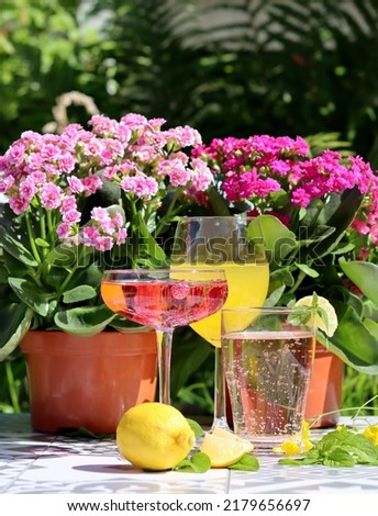 Refreshing beverages close up photo. Summer cocktails on a table. Party in a garden. 