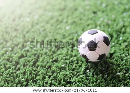 Soccer ball on soccer field with copy space. Sport concept.