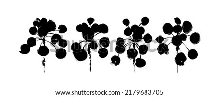 Pilea leaves with stems vector icons set. Black branches with circle leaves. Botanical elements with bold plants. Hand drawn black brush stroke botanical clap arts. Drawing of pilea stems