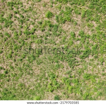 Green grass field plants and weeds top view, simple natural background texture, grassy ground surface shot from above, nobody, no people. High resolution quality grass texture, nobody, no people Royalty-Free Stock Photo #2179703585