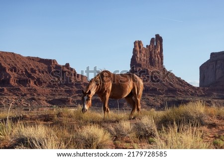 Wild Brown Horse in the desert with Red Rock Mountain Landscape in Background. Sunny Sunset Sky. Oljato-Monument Valley, Utah, United States.