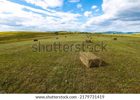 Agricultural landscape, square  hay bales in rows  on green pasture in Transylvania, Romania. Royalty-Free Stock Photo #2179731419