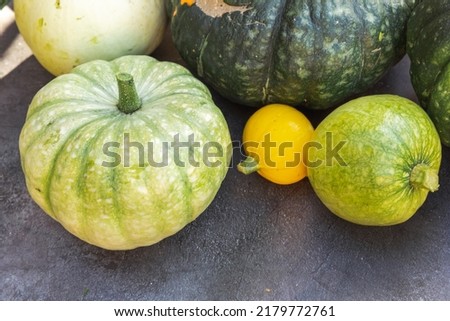 Autumnal Background. Natural autumn fall view pumpkins on dark black stone shale background. October or september wallpaper Change of seasons ripe organic food concept Halloween party Thanksgiving day