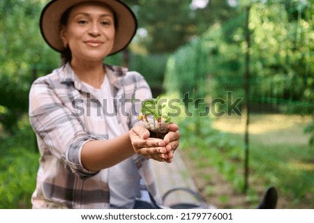 Hands of a charming farmer holding a young cucumber seedling growing in nursery bag, against green garden background. Copy space. Agribusiness, horticulture, eco farming. Growth of organic vegetables Royalty-Free Stock Photo #2179776001