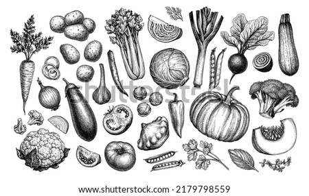 Big set of vegetables. Ink sketch collection isolated on white background. Hand drawn vector illustration. Retro style. Royalty-Free Stock Photo #2179798559