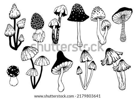 Set of various inedible mushrooms, pale toadstools. Linear sketches, stylized vector graphics. Royalty-Free Stock Photo #2179803641