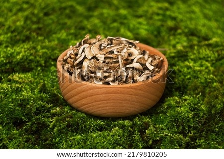 Mushrooms in wooden bowl on green moss background