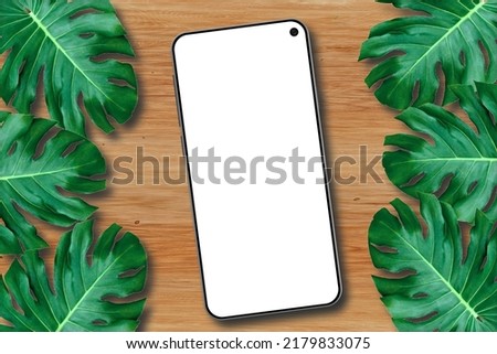 Blank Screen Smartphone, White Screen Smartphone