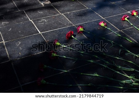 Flowers on monument. Carnations lie on memorial. Red flowers on gravestone. Symbol of remembrance of fallen soldiers. Details of holiday in honor of end of Second World War. Royalty-Free Stock Photo #2179844719