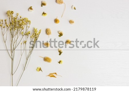 Yellow flowers and petals over the white wooden background with copy space.