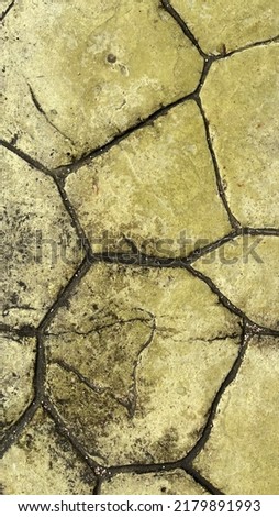 Patterned concrete floor and growing lemongrass