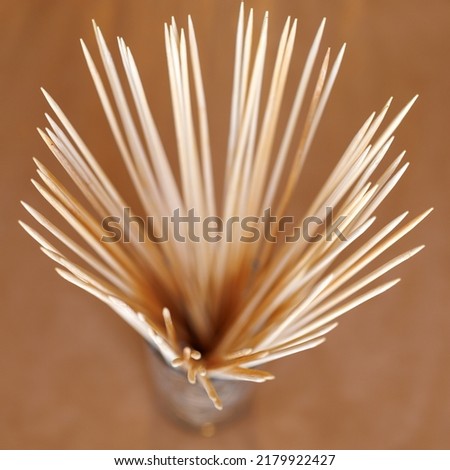 bamboo sticks in a vase still life of a florist and cook