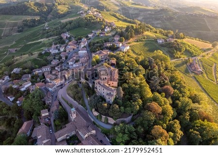 Aerial view of Cigognola Castle - vineyards and countryside in background, Oltrepo Pavese, Pavia, Lombardy, Italy