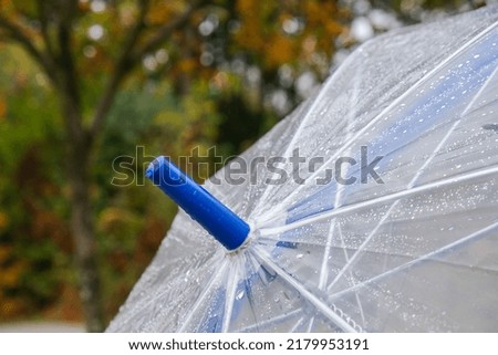 Close up Transparent Umbrella with water drops during the rain with green orange leaves tree on the blur autumn background. Rainy weather at fall season. Storm crowdcast