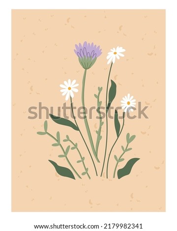Wildflowers. Summer illustration, daisies. Design for your brand. Vector clipart on an isolated white background. Template for poster, postcard.