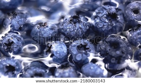 Organic Blueberry in the water. Water drops on ripe sweet blueberry. Fresh blueberries background with copy space for your text. Vegan and vegetarian concept. Macro texture of blueberry berries.