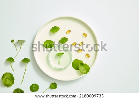 Gotu kola extract using in cosmetic for benefit on skin care , white background and cosmetic jar with petri dish , nature cosmetic content Royalty-Free Stock Photo #2180009735