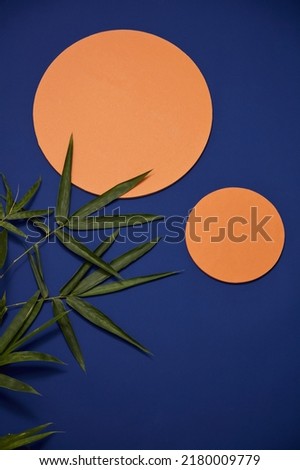paper work artwork moon and sun decorated with flower and bamboo tree in dawn blue sky background