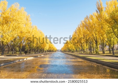 Scenery dyed in the autumn leaves of Sapporo Royalty-Free Stock Photo #2180025513