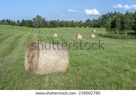 ressed hay and left the field