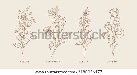 Set of hand drawn sesame, safflower, canola, cotton Royalty-Free Stock Photo #2180036177