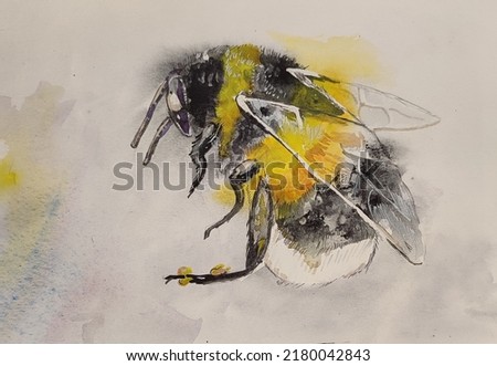 Greeting background with cute insects, a fluffy bumblebee, hand drawn watercolor illustration in a wet way.