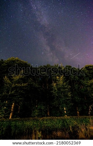 Starry sky with Milky Way. Night landscape with trees in forground against colorful milky way