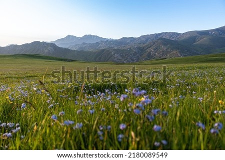 Caucasus, nature in Goygol District, west of Ganja Province of Azerbaijan. Royalty-Free Stock Photo #2180089549
