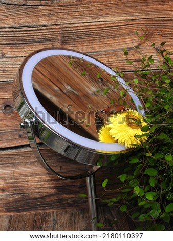 mirror with a yello blossom and a butterfly
