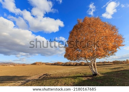 Beautiful scenery in autumn 4K Royalty-Free Stock Photo #2180167685