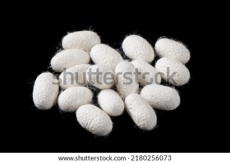Natural silkworm cocoons isolated on black background
