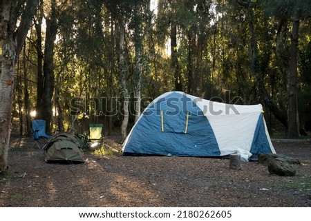 Blue tent, swag and camping chairs at the campsite in the forest bush. Camping lifestyle Royalty-Free Stock Photo #2180262605