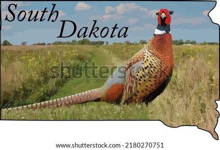 South Dakota State Outline Showing the State Bird (Ring-necked Pheasant) 