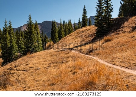 Hiking Trail Leading to Molas Pass, Weminuche Wilderness Area, Colorado, USA Royalty-Free Stock Photo #2180273125