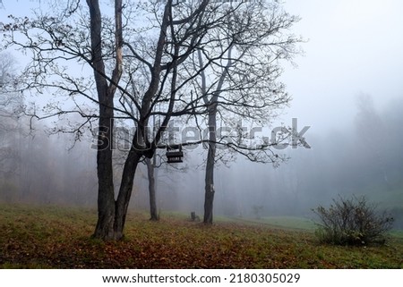 A tree with a feeder in the autumn fog. Mystical fog in autumn park. Spooky fog in autumn park. Autumn fog Royalty-Free Stock Photo #2180305029