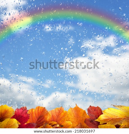 Autumn background with colorful leaves, raindrops and rainbow
