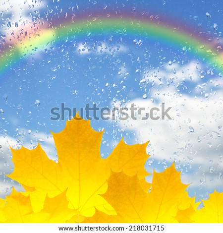 Autumn background with colorful leaves, raindrops and rainbow