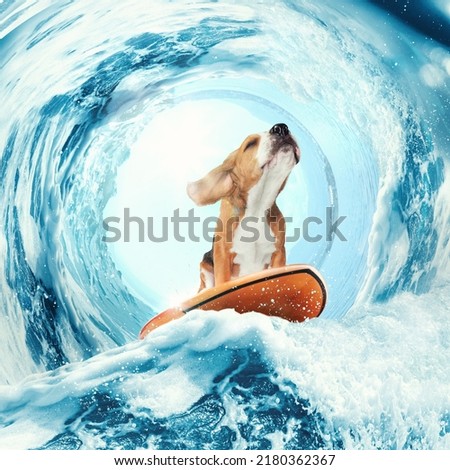 Sweet dreams. Creative art collage with funny beagle dog surfing on surfboard on huge wave in ocean or sea. Concept of fashion, animal, care, love and sport, adventures. Poster for ad, text Royalty-Free Stock Photo #2180362367