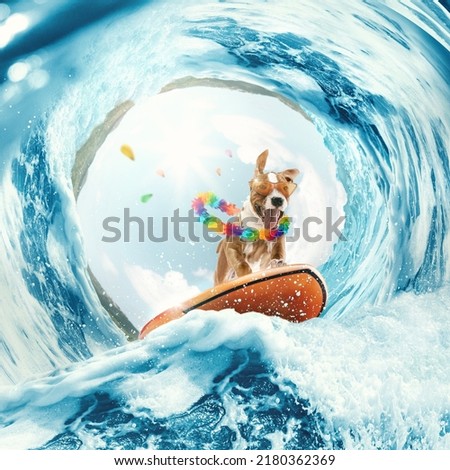 Summer vibes. Creative art collage with funny beagle dog surfing on huge wave in ocean or sea on summer vacation with modern sunglasses and flower chain. Concept of rest, sport, adventures