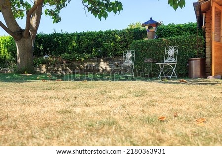 lawn in garden dry and dead. Pests and disease and sun cause amount of damage to green lawns. Landscaped Formal Garden. patchy grass in bad condition and need maintaining.  Royalty-Free Stock Photo #2180363931