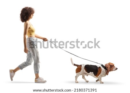 Full length profile shot of a young female walking a basset hound dog on a lead isolated on white background