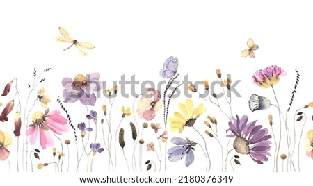 Wildflowers, plants, flying butterfly, dragonfly, floral seamless pattern with colored flowers, watercolor horizontal border isolated on white background, hand painting illustration summer meadow. 