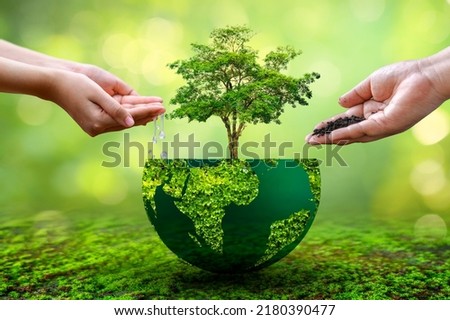 People are watering and fertilizing the plants. environmental care concept Royalty-Free Stock Photo #2180390477